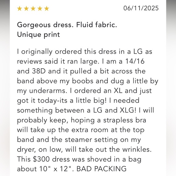 Anthropologie NWT Corey Lynn Calter Strapless Maxi Dress size L. - Picture 6 of 12